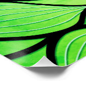 Poster Bright Green Hues Creative Leave Motif (Coin)