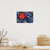 Poster Bright Red Fall Leaf (Cuisine)