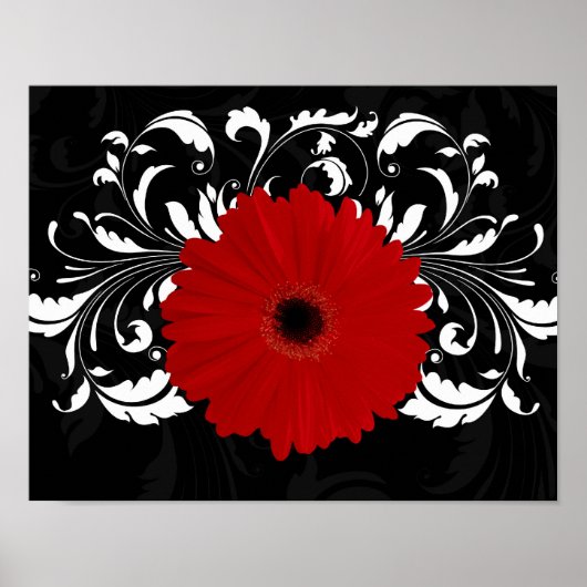 Poster Bright Red Gerbera Daisy on Black (Devant)