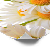 Poster Bright Summer Daisies (Coin)