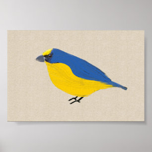 Poster Bright Tropical Bird Euphonia sur toile lin