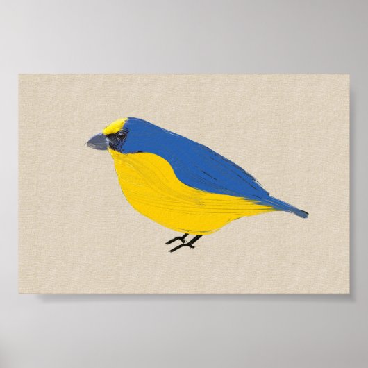 Poster Bright Tropical Bird Euphonia sur toile lin (Devant)