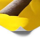 Poster Bright Yellow Songbird Perché sur une branche (Coin)