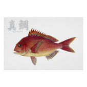 Poster brillant (Devant)