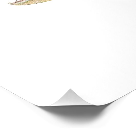 Poster brillant (Coin)