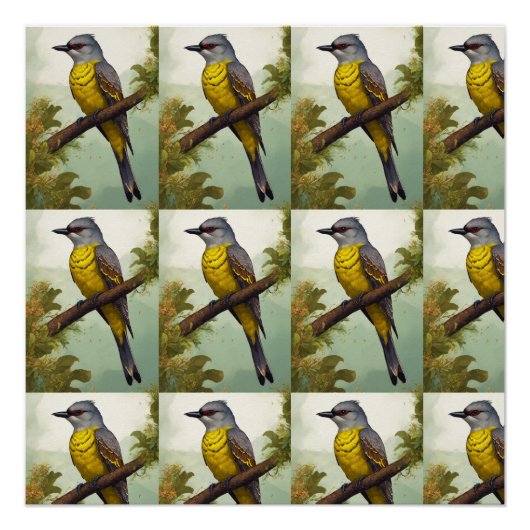 Poster brillant (Devant)