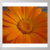 Poster brillant ! (Devant)