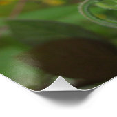 Poster brillant (Coin)