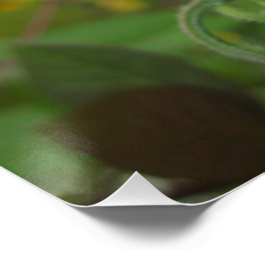 Poster brillant (Coin)