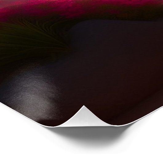 Poster brillant (Coin)