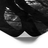 Poster Brillant dans les arbres (Coin)