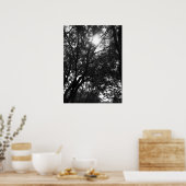 Poster Brillant dans les arbres (Cuisine)