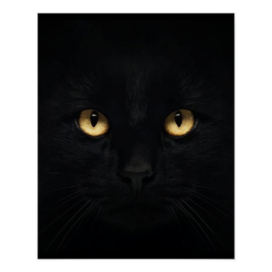 Poster brillant de chat noir (Devant)