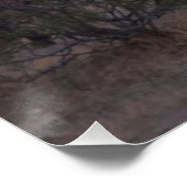 Poster brillant du Coucher de soleil du Cheval AZ (Coin)