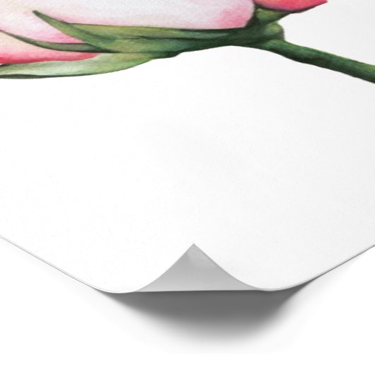 Poster brillant en toile Rose Premium 8x10 (Coin)