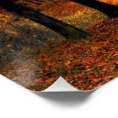 Poster brillante bosque otoñal (Coin)