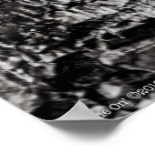 Poster Brille (Coin)