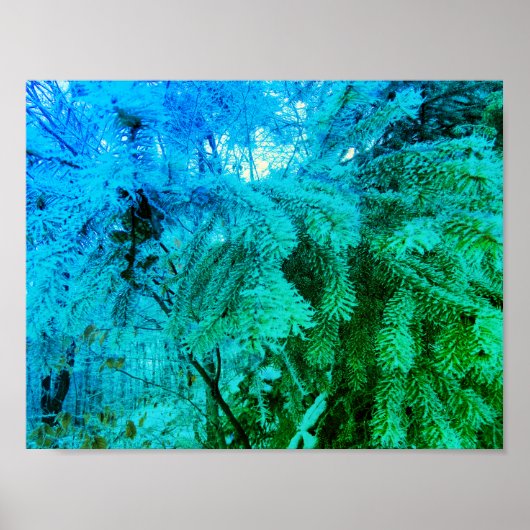 Poster Brindilles d'arbre du sapin gélose glacée magique (Devant)