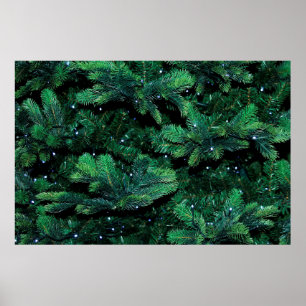 Poster Brindilles de Noël