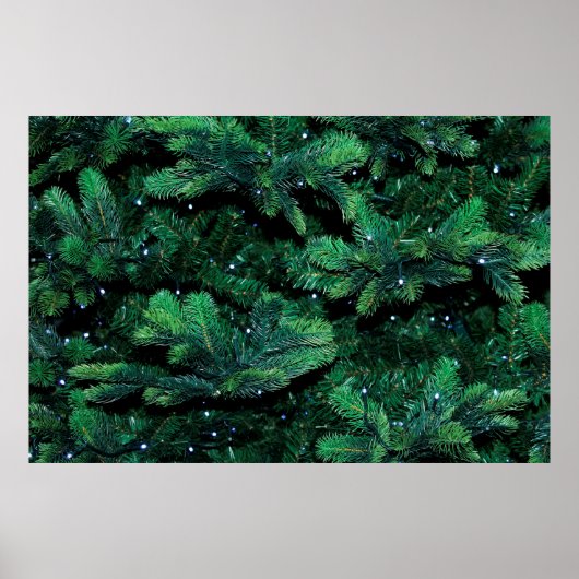 Poster Brindilles de Noël (Devant)