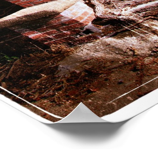 Poster Briques et vignes abandonnées (Coin)