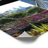 Poster Brisbanes Belle Southbank (Coin)