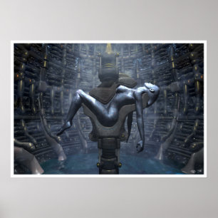 Poster Brisé