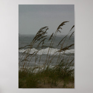 Poster Brise marine