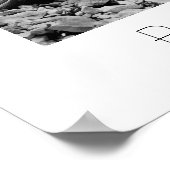 Poster Bristlecone (Coin)