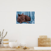 Poster British Shorthair, bleu (Cuisine)