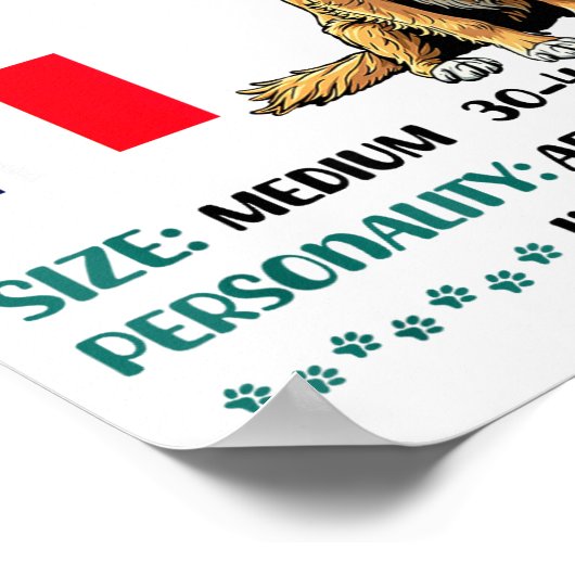 Poster Brittany Origin Funny Brittany Dog Lover  (Coin)