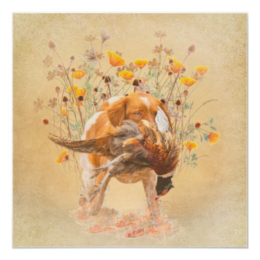Poster Brittany Spaniel, Chasse Pheasant Coffee Mug T-Sh (Devant)
