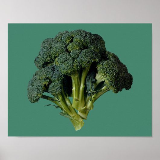Poster Broccoli 14" x 11", papier d'affiche de valeur (Ma (Devant)