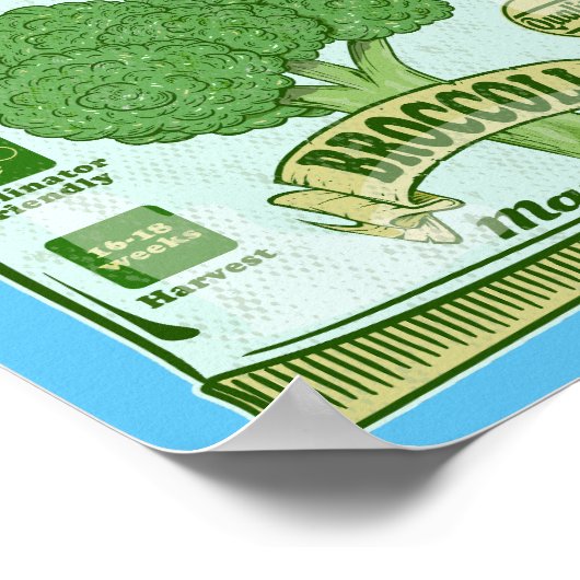 Poster Broccoli Graines de légumes (Coin)