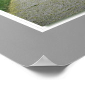 Poster Brockville King Street East Lilac Busch (Coin)