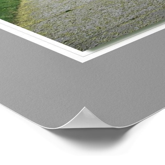 Poster Brockville King Street East Lilac Busch (Coin)