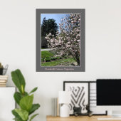 Poster Brockville Ontario Magnolias (Bureau à domicile)