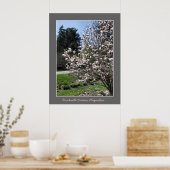 Poster Brockville Ontario Magnolias (Cuisine)