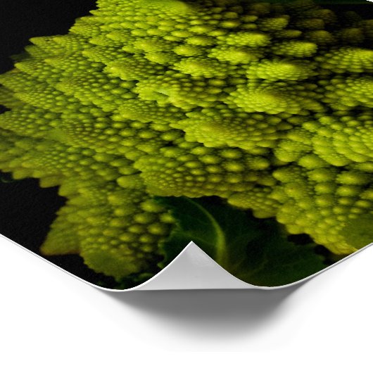 Poster Brocoli (Coin)