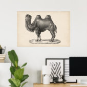 Poster Brodtmann Camel Sketch (Bureau à domicile)