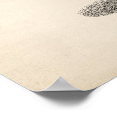 Poster Brodtmann Dromedary Camel croquis (Coin)