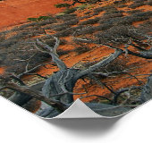 Poster Broken Arch, Parc national des Arches (Coin)