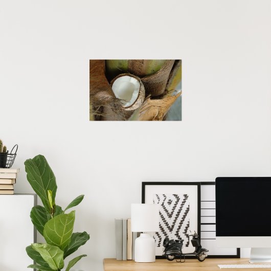 Poster Broken coconut (Bureau à domicile)