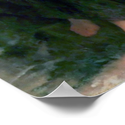 Poster Broken Pitcher (Coin)