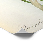 Poster Bromelia Ananas, de 'Les Bromeliacees' (Coin)
