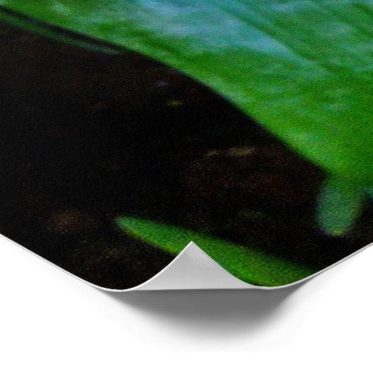 Poster Bromeliad (Coin)