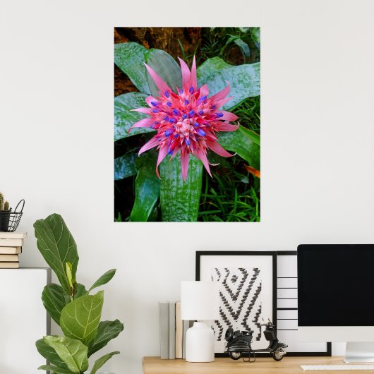 Poster Bromeliad (Bureau à domicile)