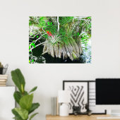 Poster Bromeliad sur Mangrove, Floride Everglades (Bureau à domicile)