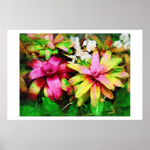 Poster Bromeliade, Peinture à l'huile, Collection Tropica