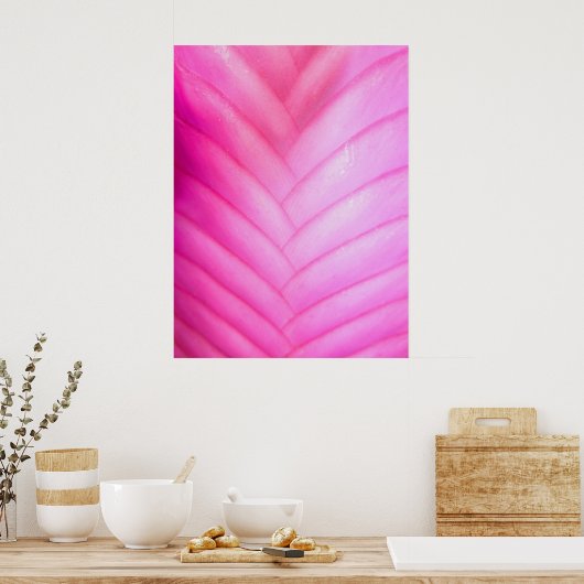 Poster Bromelière de Quill Rose (Cuisine)